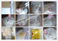 Injectable Yellow Trenbolone Finaplix , CAS 10161-34-9 Trenbolone Acetate Injection