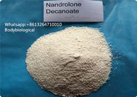 Masteron Healthy Dromostanolone Propionate For Anti Estrogen Steroids 99% Purity