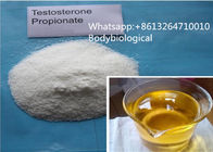 62-90-8 Healthy Testosterone Anabolic Steroid Muscle Building Testosterone Propionate