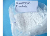 2446-23-3 Masteron Injectable Turinabol , 4 Chlorodehydromethyltestosterone In White