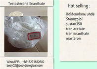 Raw Powder Testosterone Anabolic Steroid  Testosterone Enanthate CAS 315-37-7