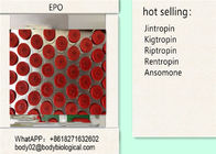 Erythropoietin Glycoprotein Protein Peptide Hormones EPO Acetate Dried Powder For Red Blood Cell