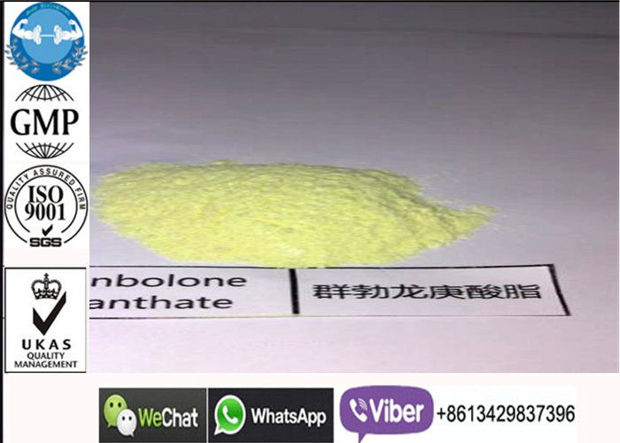 Parabolan Safely 99% Injectable Anabolic Steroids Trenbolone Enanthate With USP30