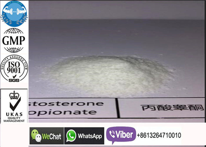 Weight Loss Test Phen Testosterone Anabolic Steroid 1255-49-8 Testosterone Phenylpropinate