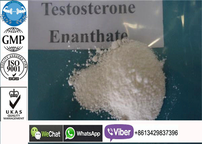 Powerful Test E / Testosterone Enanthate Steroid Powder For Bodybuilding Supplements