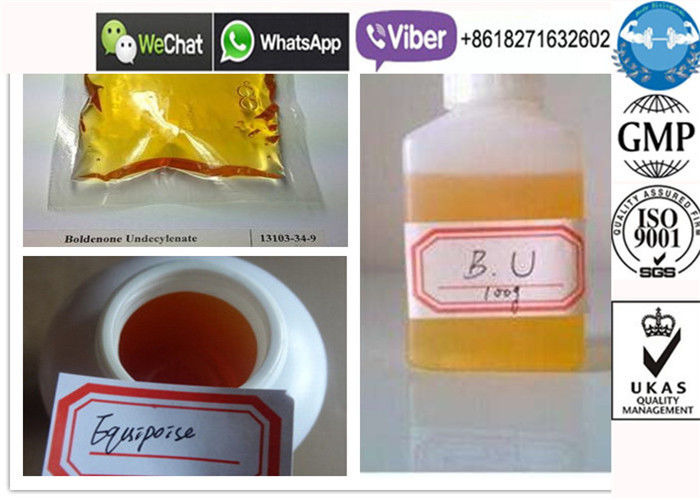 CAS 13103-34-9 Boldenone Undecylenate Powder , Muscle Growth Equipoise Powder