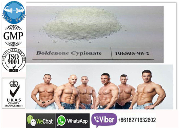 CAS 846-48-0 Boldenona Muscle Pharma Cutting Cycle For Body Building