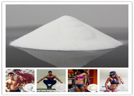 Anabolic Drugs 4 Chlorotestosterone , 99.8% Purity Clostebol Acetate CAS 855-19-6