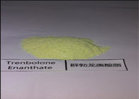Human Growth Trenbolone Enanthate Powder , 99.68% Purity Most Powerful Anabolic Steroid