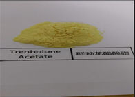 CAS 13103-34-9 Tren Anabolic Steroid 250mg / ML Injectable Parabola Powder