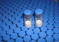 Research ChemicalProtein Peptide Hormones Powder GHRP-6 For Weight Loss Lab Supply