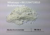 Bodybuilding Supplement Testosterone Anabolic Steroid CAS 58-18-4 Methyltestosterone