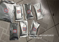 CAS 1255-49-8 Injectable Raw Testosterone Anabolic Steroid Phenylpropinate Powder