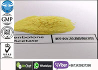 Fat Burning Injectable Anabolic Steroids Trenbolone Hexahydrobenzyl Carbonate