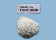 Oral / Injection Testosterone Anabolic Steroid Powder Testosterone Acetate CAS 1045-69-8
