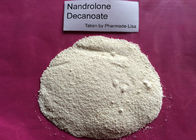99% Purity Raloxifene Hcl , Man Osteoporosis Treatment Anabolic Steroid Powder