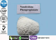 CAS 7207-92-3 Deca Anabolic Steroids Legal Muscle Gain Nandrolone Propionate