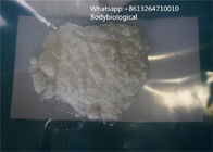 Healthy White Muscle Gain Steroids Raw Powder CAS 54965-24-1 Fluoxymesterone