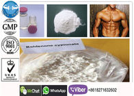 Injectable Boldenona Muscle Pharma For Bodybuilding CAS 106505-90-2