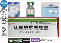 HMG Protein Peptide Hormones White Freezed Powder Vial CAS 61489-71-2