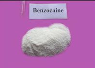 Pain Killer 137-58-6 Local Anesthetic Agents Benzocaine HCL / Benzocaine
