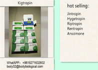White Freezed Powder Hgh Human Growth Hormone Kigtropin Hygetropin In 100iu / Kit 10iu / Vial