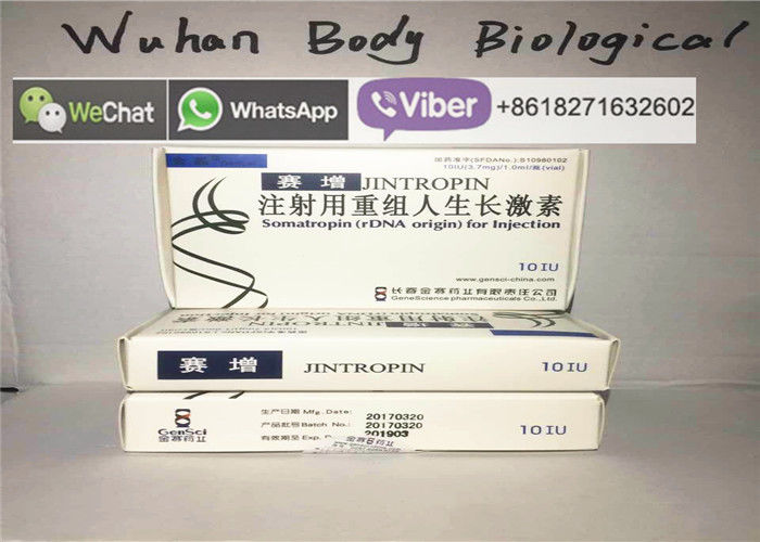 Jintropin Human Growth Hormone Injections For Wrinkles Removing CAS 96827-07-5