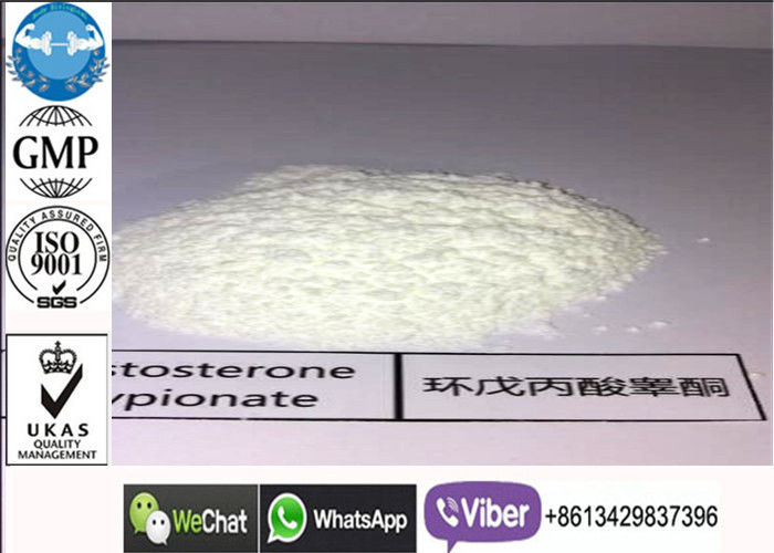 250mg / Ml Testosterone Cypionate Injection , Semi Finished CAS 57-85-2 Injectable Steroids