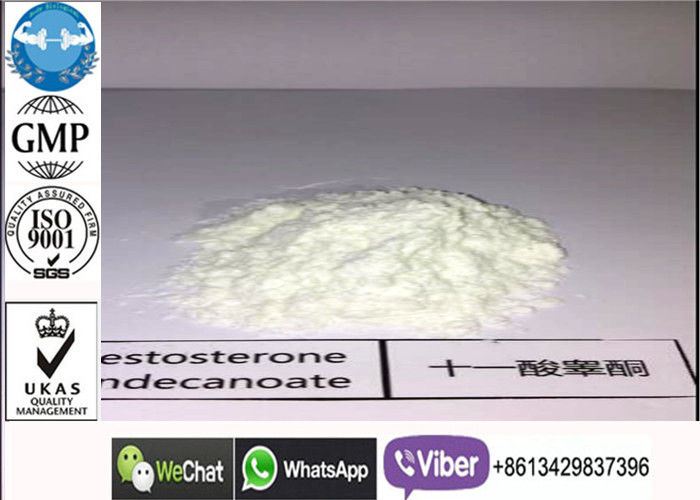 Raw Testosterone Undecanoate Cycle Oral For Muscle Bone Strength CAS 125-10-0