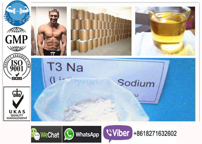 Fat Burning Masteron Steroid Weight Loss T3 Liothyronine In Almost White Powder