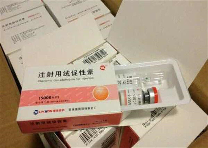 Nature Human Growth Hormone Peptide 99.8% HCG Pregnancy Test Strip For Women