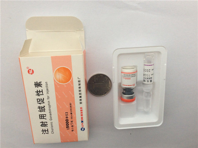 Natrual Pregnancy Test HCG Human Chorionic Conadotropin 5000IU HCG