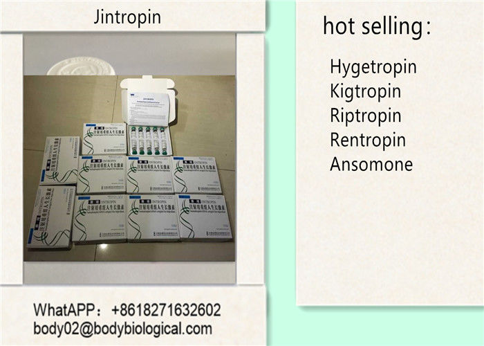 Muscle Gain Jintropin 100iu / Kit 10iu / Vial CAS 12629-01-5 White Powder