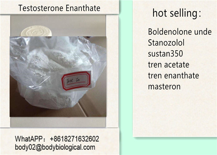 Raw Powder Testosterone Anabolic Steroid  Testosterone Enanthate CAS 315-37-7