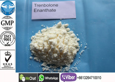 Human Muscle Building Tren Anabolic Steroid Tren E / Trenbolone Enanthate Powder
